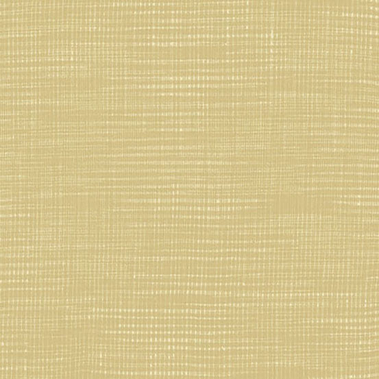 Compass - North - 1 yard