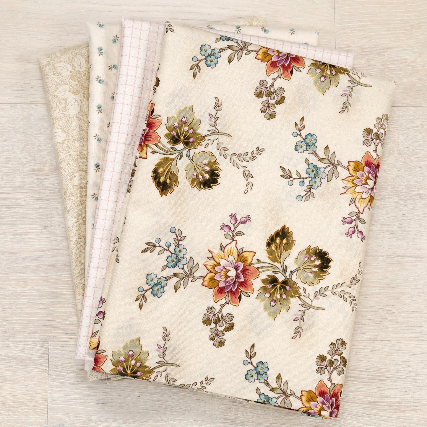 Dahlia - Light Background Bundle