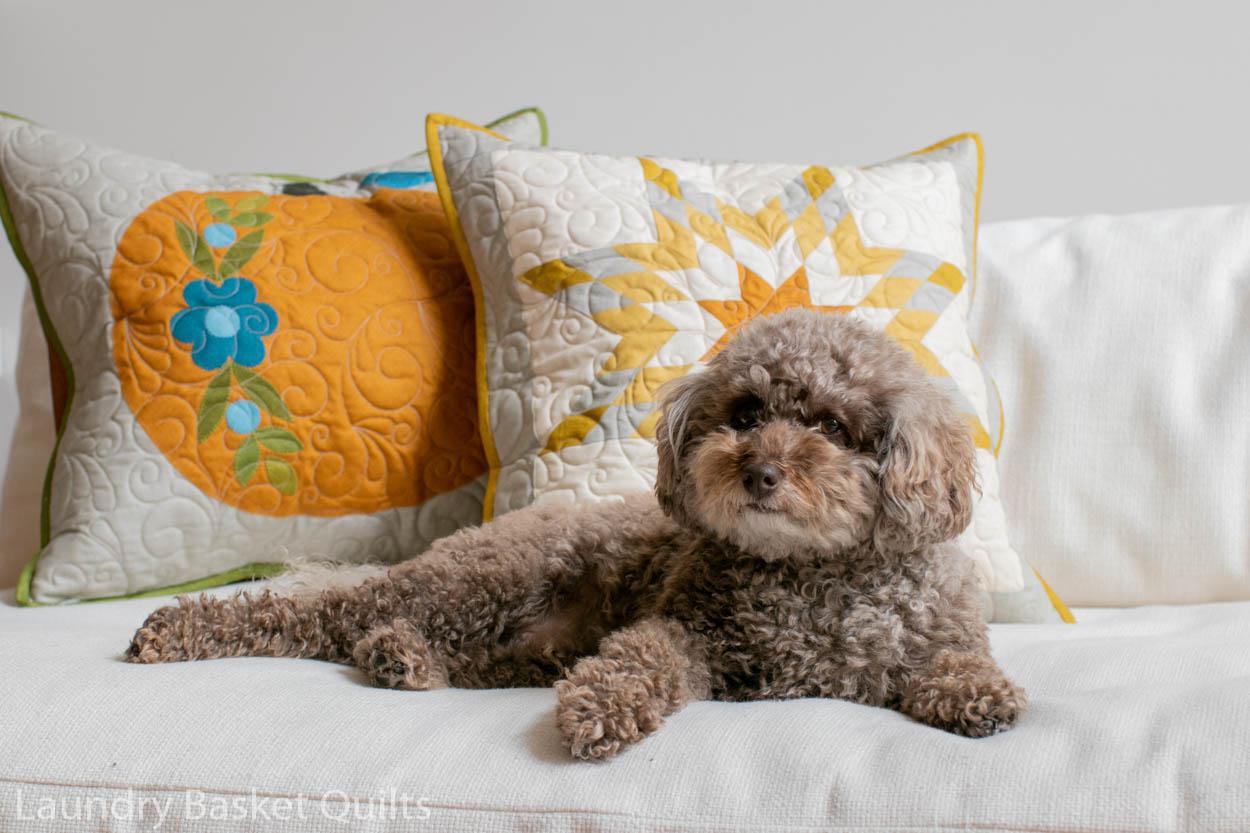 Pumpkin Pillow Talk Fabric Kit
