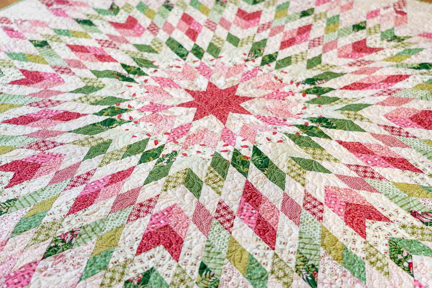 Amaryllis - Noel