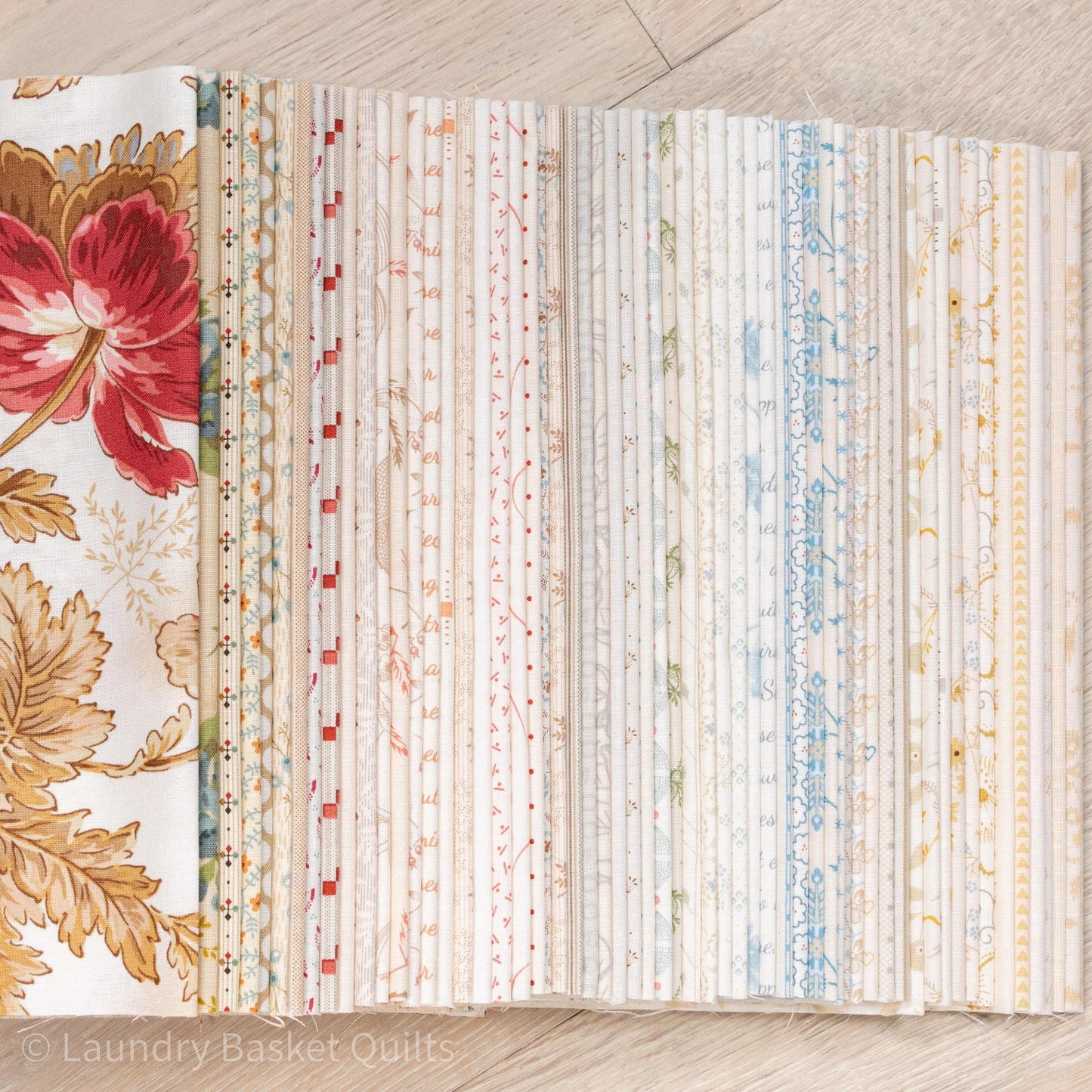 Scrappy Bundle - Light