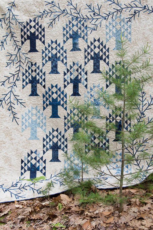 Blue Spruce