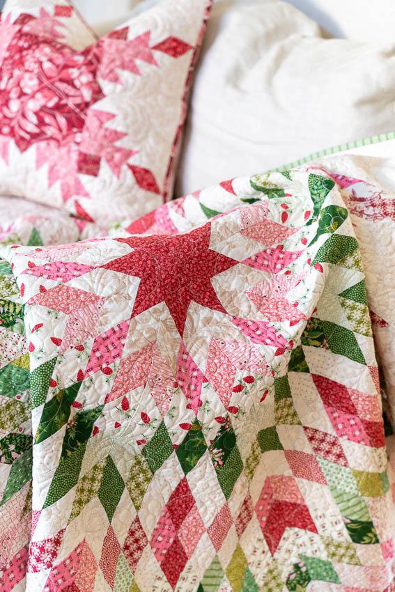 Amaryllis - Noel