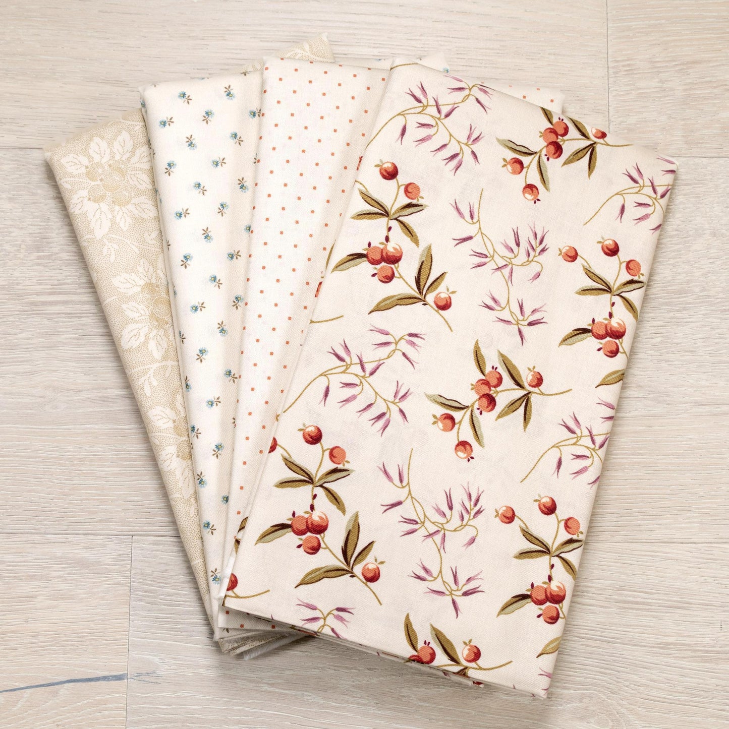 Dahlia - Light Background Bundle